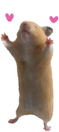 KUTTO